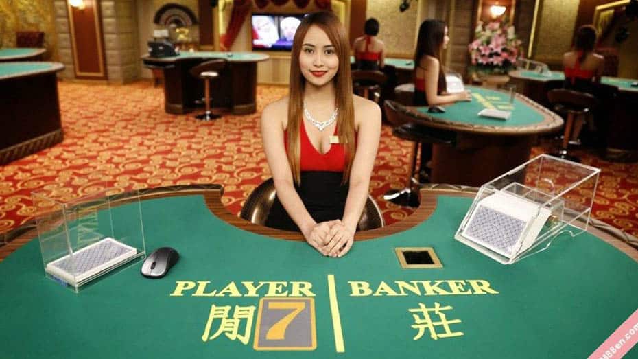 Diving into Live Baccarat Action