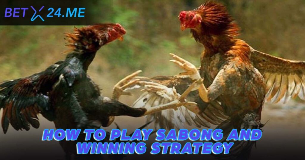 How To Play Sabong - Mastering Online Sabong for Big Wins