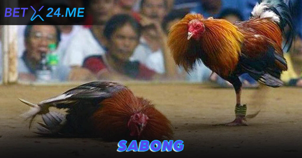 Online Sabong - Immerse Yourself in the Thrill of Online Cockfighting with Betx24